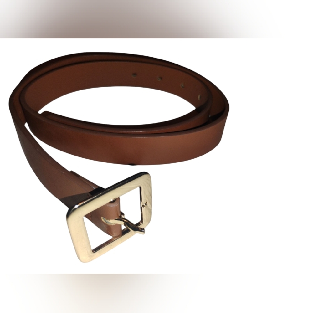 Classic Chunky Brown Faux Leather Belt with Gold Hardware XS Nwot